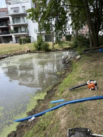 Mise en place du dispositif de récolte sur le plan d'eau