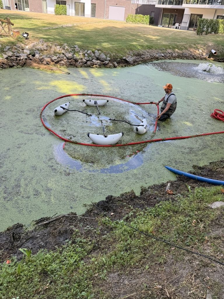 Récolte des lentilles d'eau en cours, dispositif entouré d'un boudin flottant