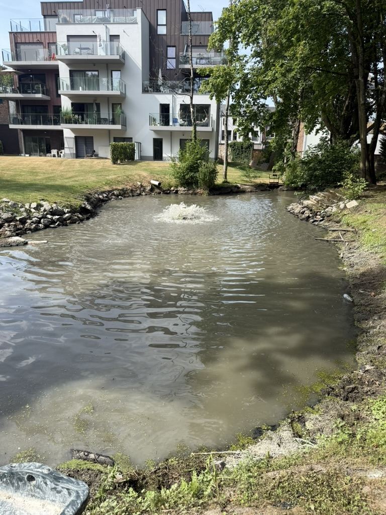 Plan d'eau après restauration, eau claire et oxygénée