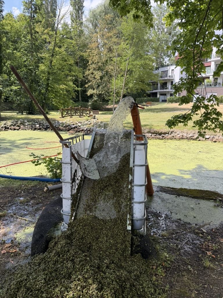 Tamis de récolte égouttant les lentilles d'eau prélevées